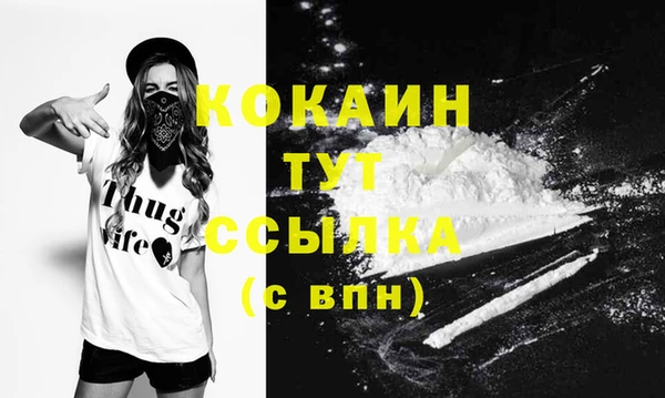 дживик Слюдянка