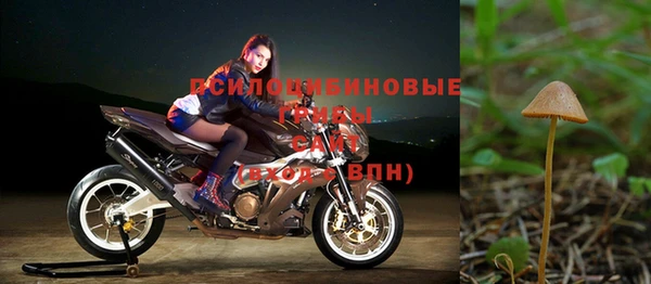мдпв Медвежьегорск