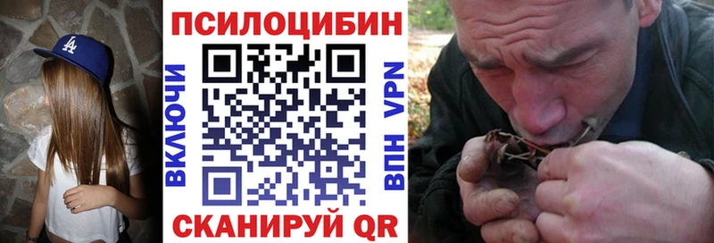 ссылка на мегу как войти  Александровск  Галлюциногенные грибы прущие грибы  закладки 