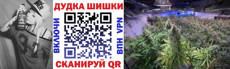 где можно купить   Александровск  Канабис план 